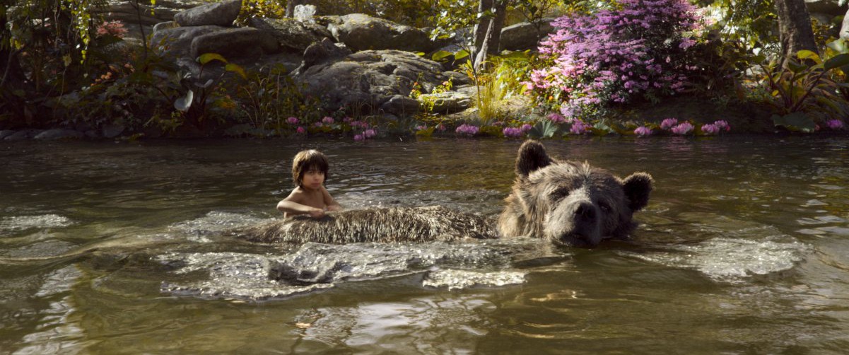 The Jungle Book 5