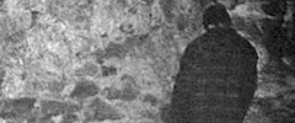 blair-witch-project-3